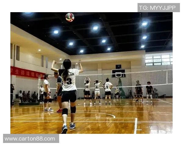 西安排球队成长之路：一段排球精神与团队合作的真实纪实