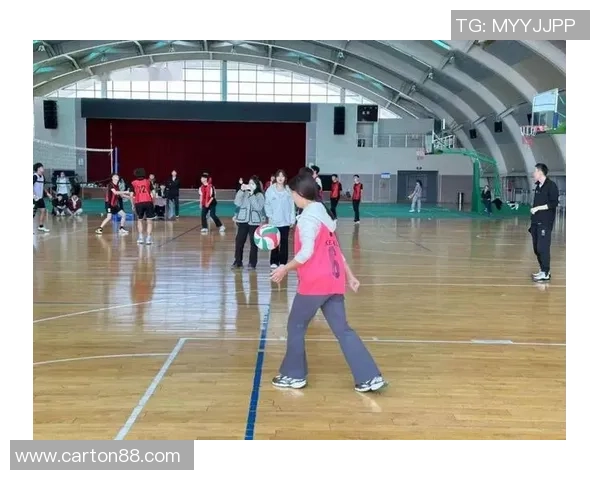 成都排球队的精神风貌与发展历程探讨：排球运动的魅力与挑战